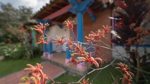 Hotel Termales El Oto�o