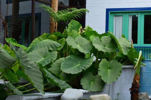 Hotel Termales El Oto�o