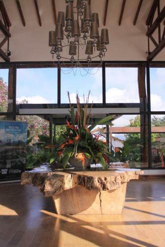 Hotel Termales El Oto�o