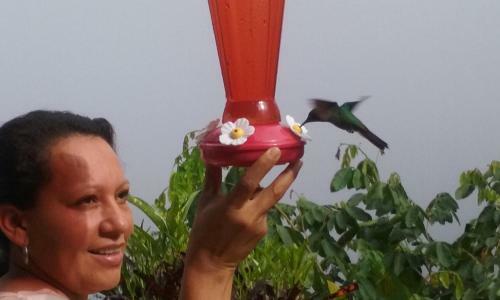 La Candelaria Coffee Farm B&B