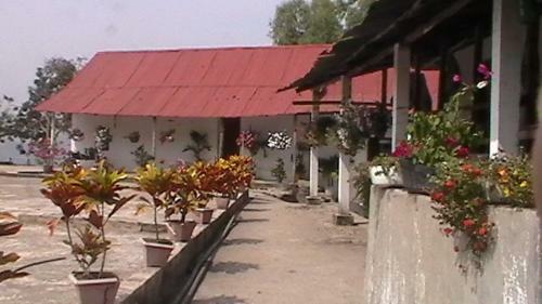 La Candelaria Coffee Farm B&B