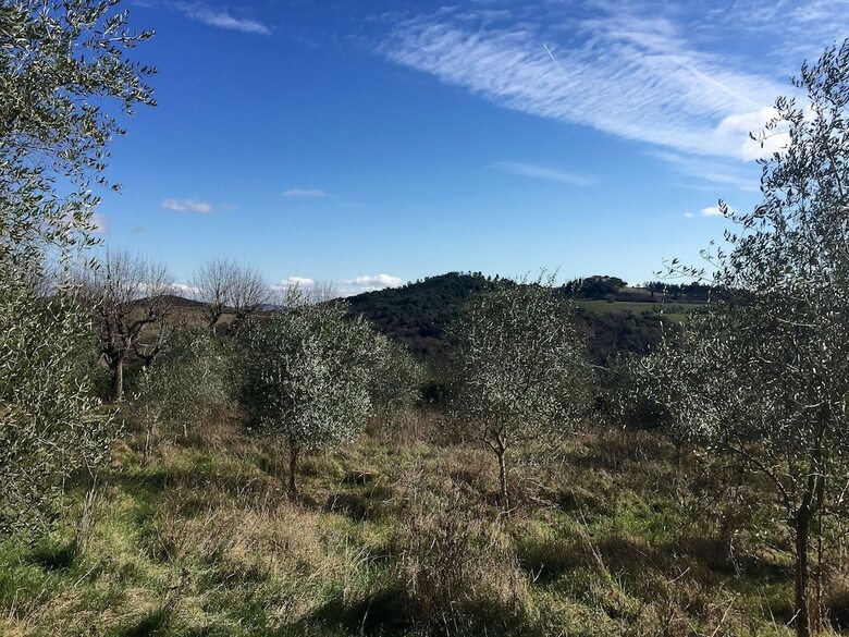 Agroturismo Villa Sant'anastasio Luxury Agriturismo