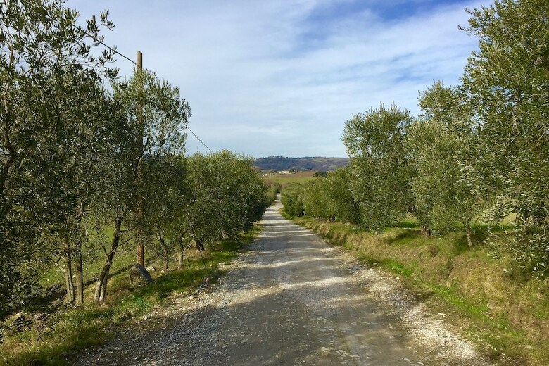 Agroturismo Villa Sant'anastasio Luxury Agriturismo