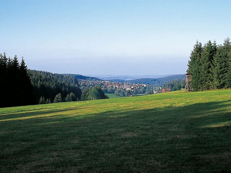 Wellness Golf Und Weinhotel Zum Ochsen