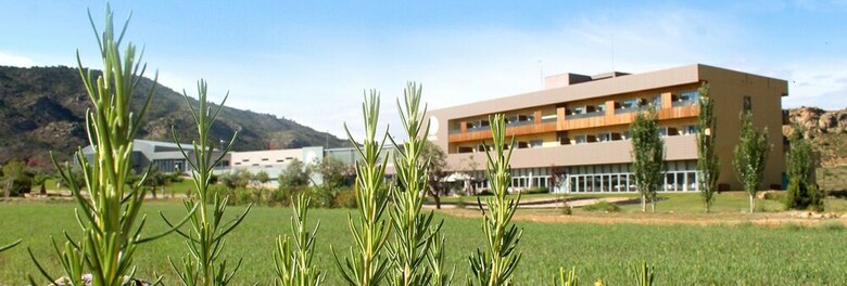 Hotel Balneario de Ari�o