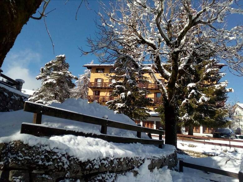 Hotel Des Alpes