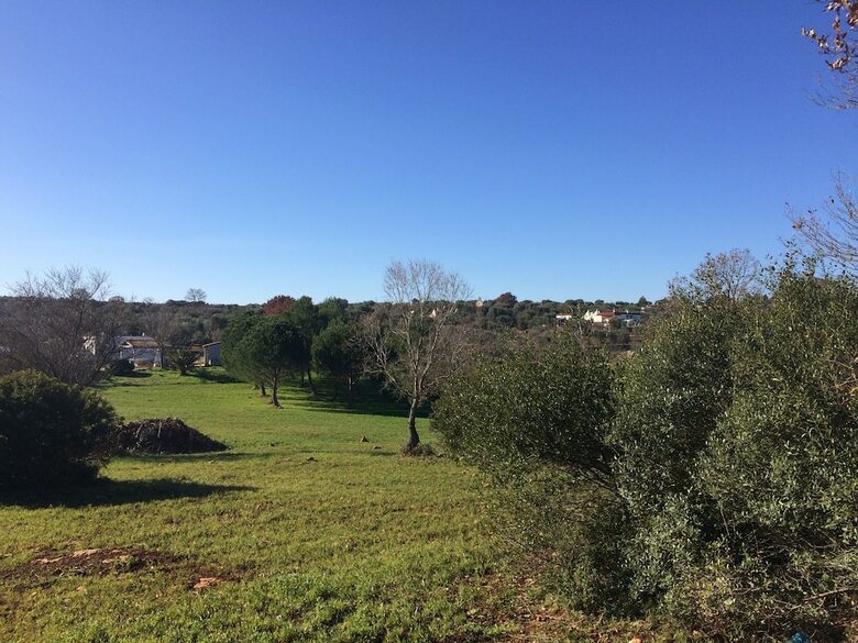 Bed & Breakfast Il Giardino Di Viola