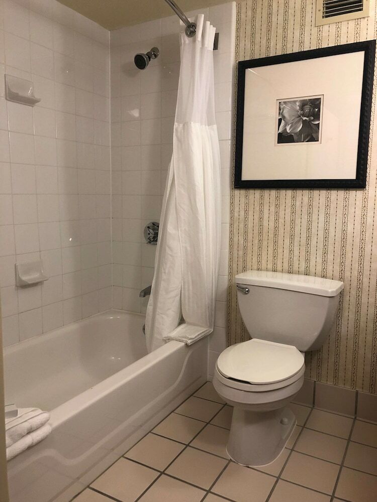 Hotel Hilton Garden Inn Addison