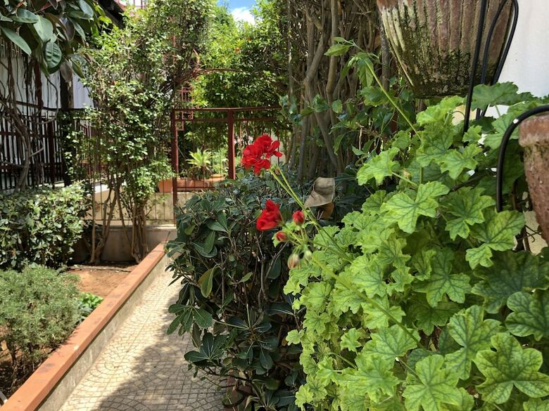 Hotel Casa Vacanze Euridice