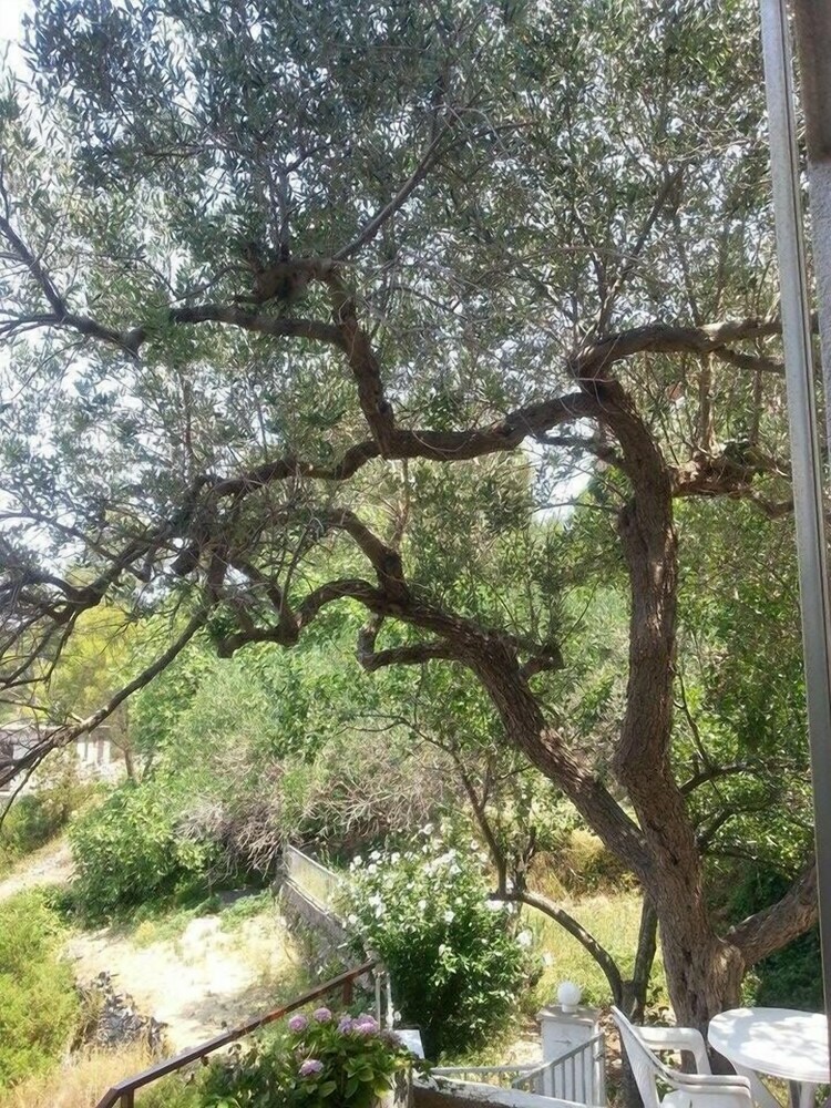 Hotel Guest House Hvar Jelsa