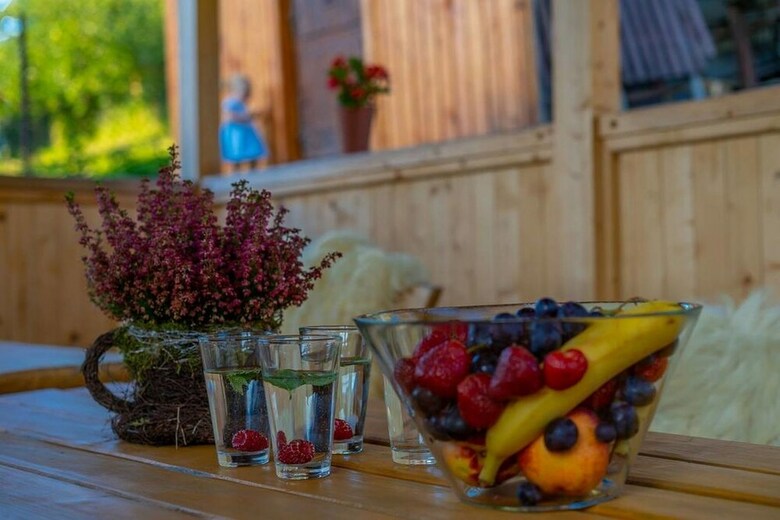 Hotel U Ga?�w Poronin