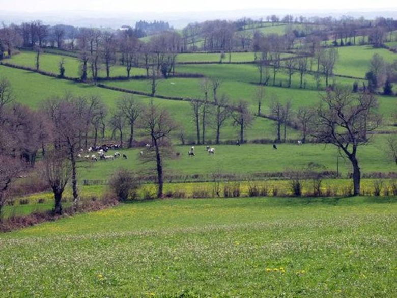Agroturismo Gite de La Fontaine de Barry