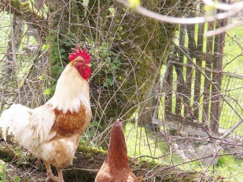 Agroturismo Gite de La Fontaine de Barry