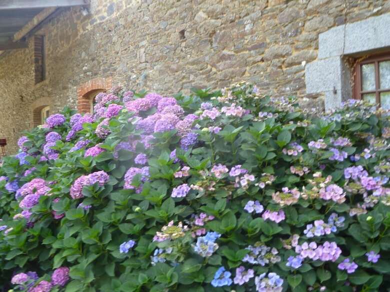 Bed & Breakfast Chambres Les Champs de Roz