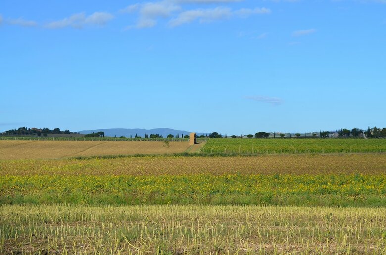 Bed & Breakfast Tuscan Style Eco-farm Molinaccio