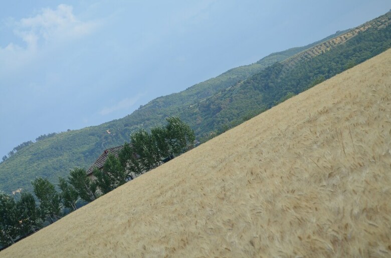 Bed & Breakfast Tuscan Style Eco-farm Molinaccio
