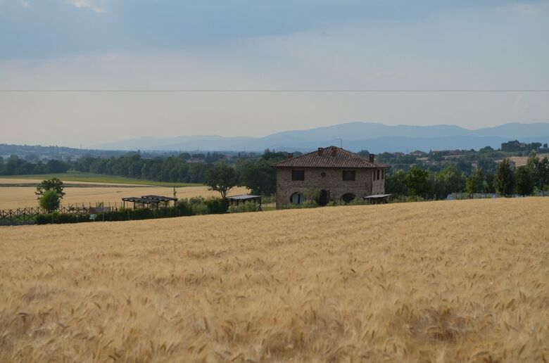 Bed & Breakfast Tuscan Style Eco-farm Molinaccio