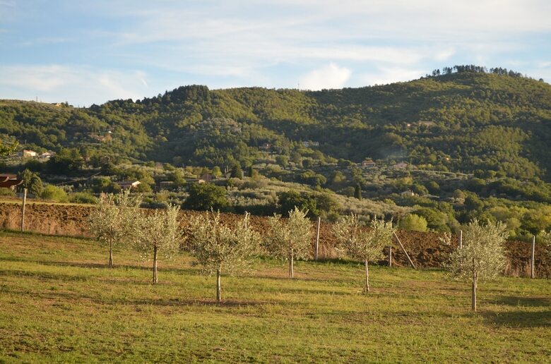 Bed & Breakfast Tuscan Style Eco-farm Molinaccio