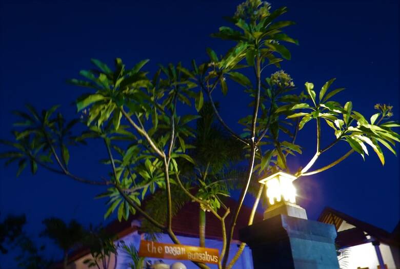 Hotel The Dagan Bungalow