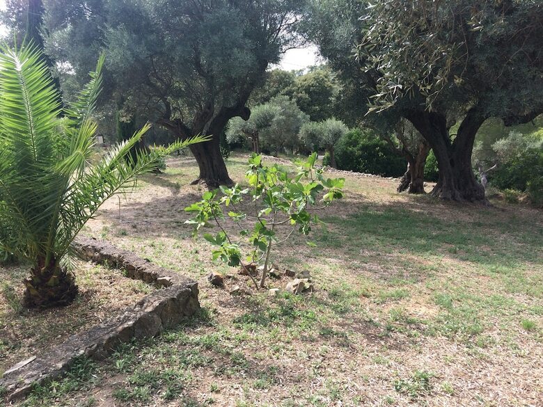 Villa G?te Bastide Sainte Trinide