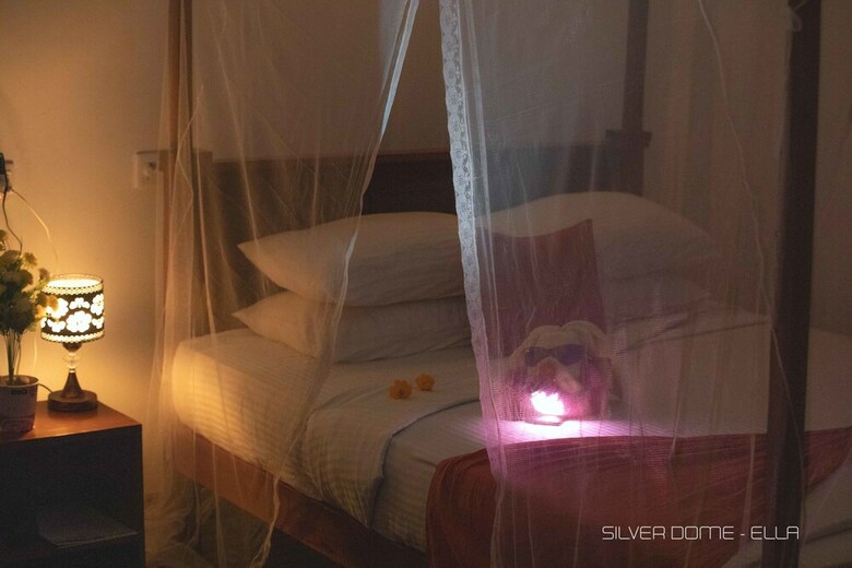 Hotel Silver Dome