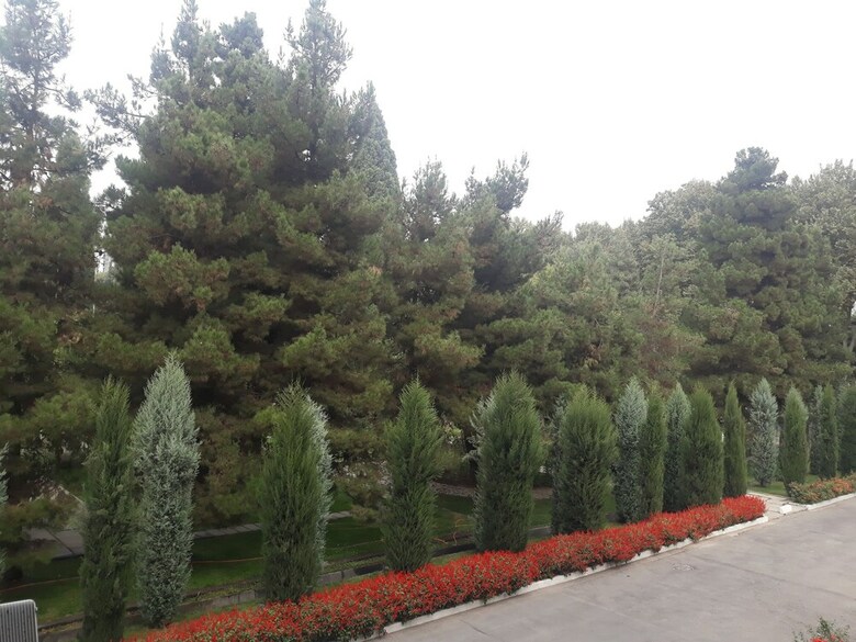 Hotel Avesto