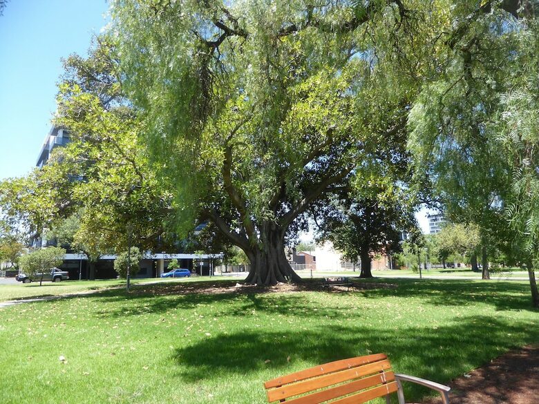 Adelaide City Apartment - 3br, 2bath & Carpark