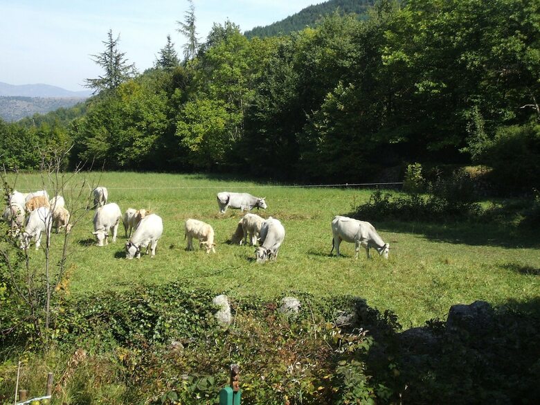 Bed & Breakfast Domaine de Beau Vallon Chambres D'h�tes