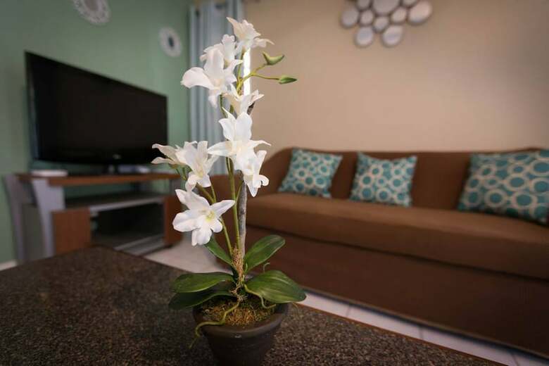 Apartamentos Kingston Most Centrally Located One Bdrm