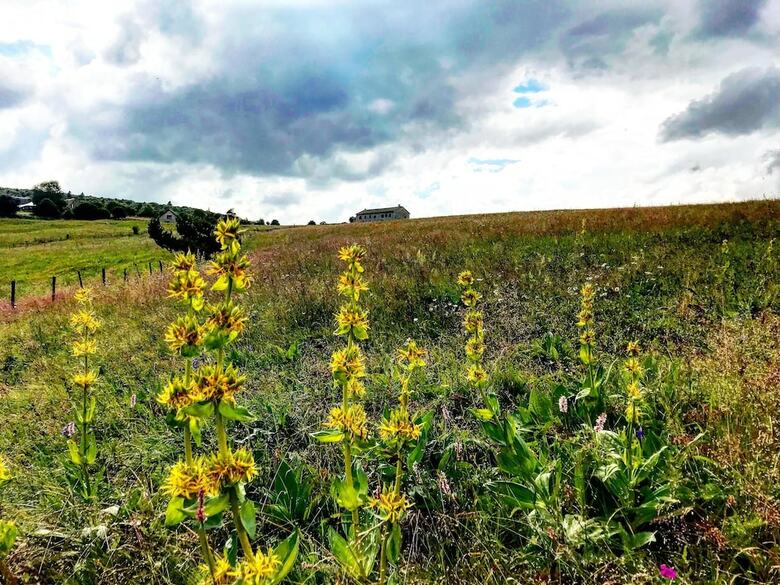 Eco Yourte Les Airelles D'isabelle