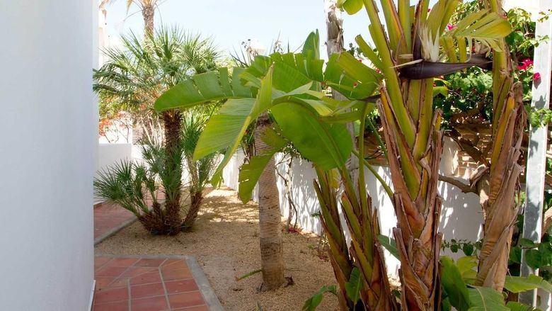 Apartamentos Arto Blanco