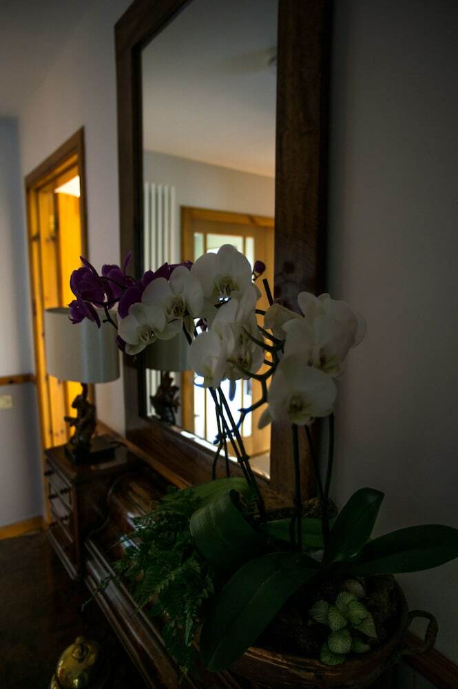 Bed & Breakfast Davar