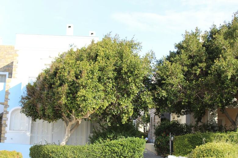 Apartamentos Villagio Bay