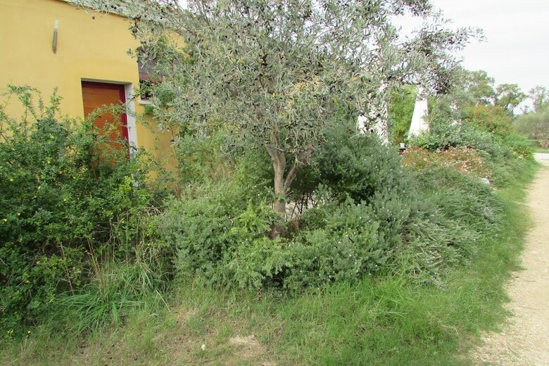 Agroturismo Cavalli Di S'arcaite