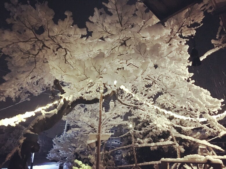 Hostal Nemaru Stay&discovery