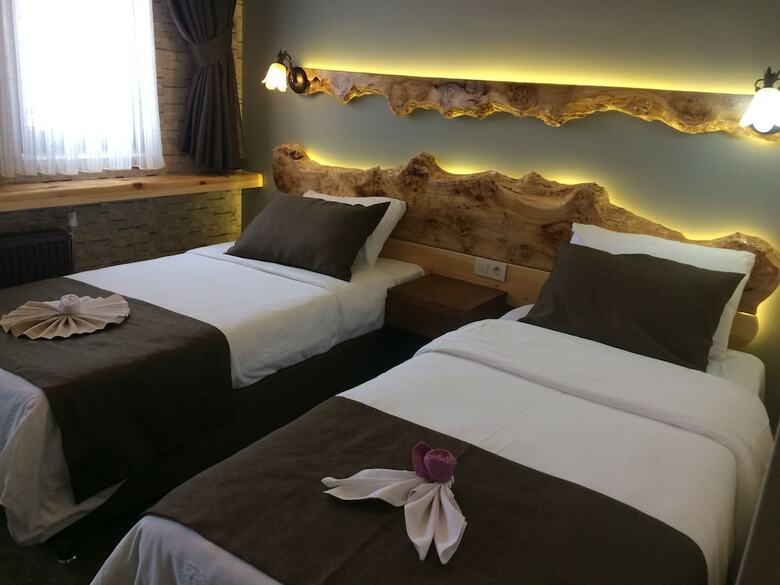 Hotel Sarikamis Kayi Snow Otel