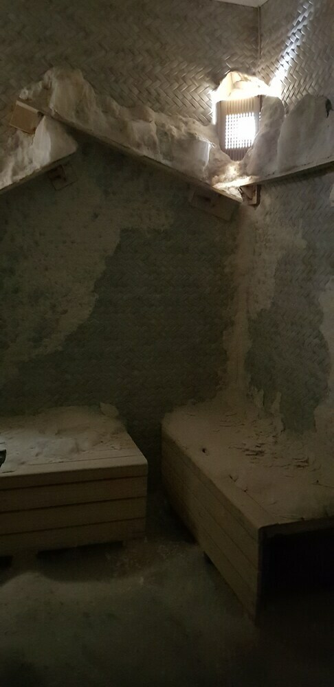 Hotel Sarikamis Kayi Snow Otel