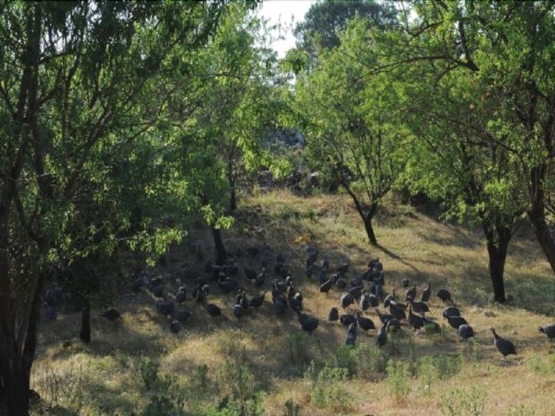 Agroturismo Agritria Di Umberto Anglisani