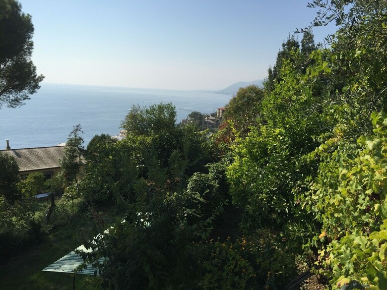 Villa San Prospero  Il Panorama