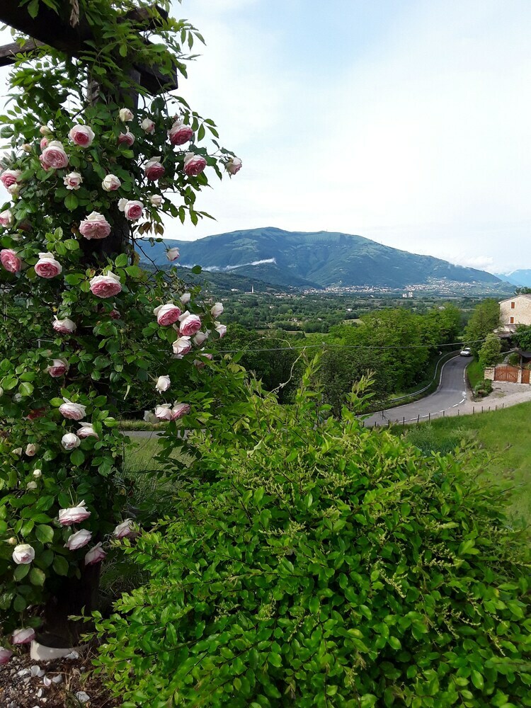 Bed & Breakfast Locanda Bellavista
