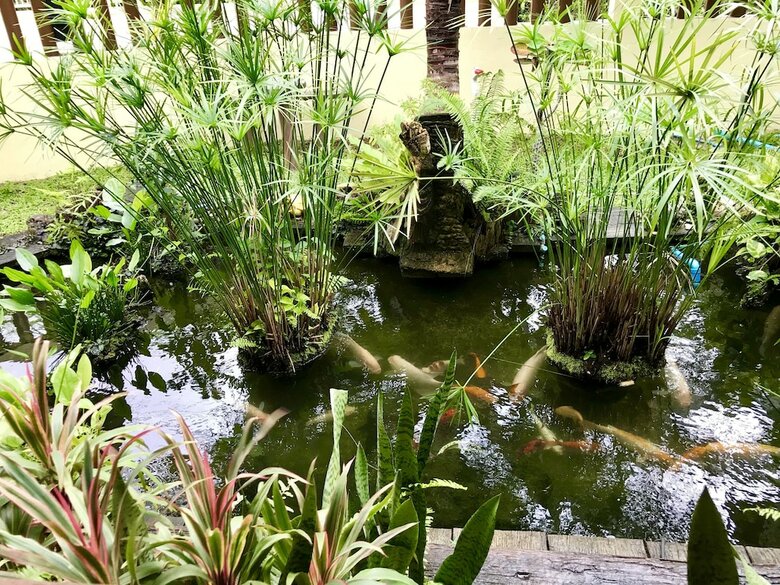 Hotel Falang Paradise