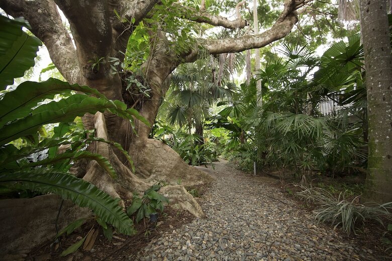 Hotel Castaways Resort & Spa Rainforest