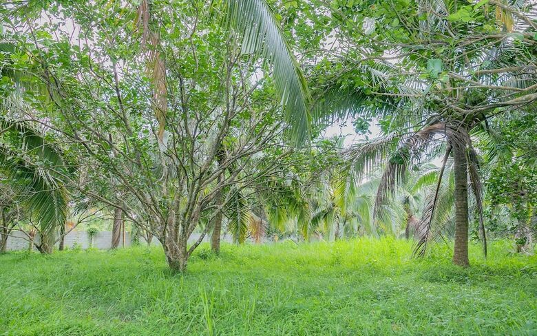 Hotel Phu Quoc Pomelo Garden