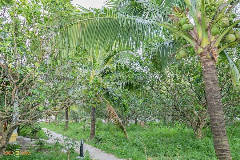 Hotel Phu Quoc Pomelo Garden