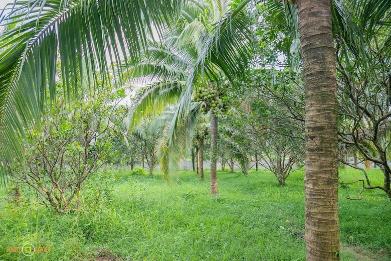 Hotel Phu Quoc Pomelo Garden