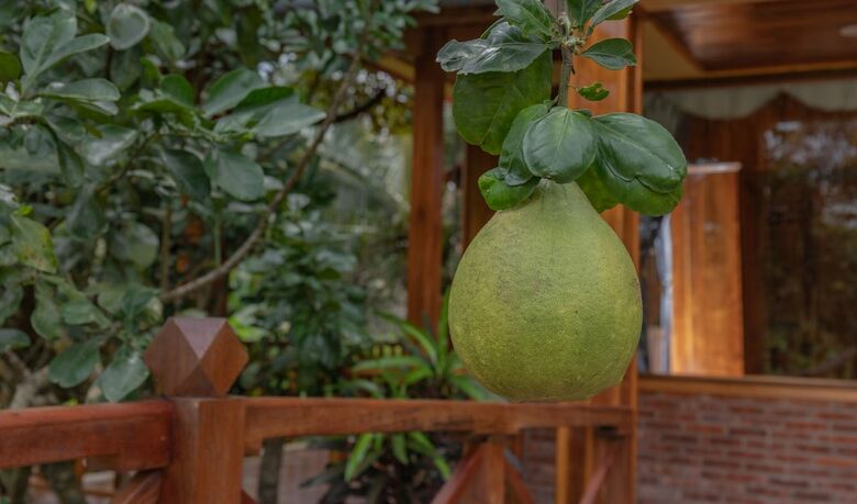 Hotel Phu Quoc Pomelo Garden