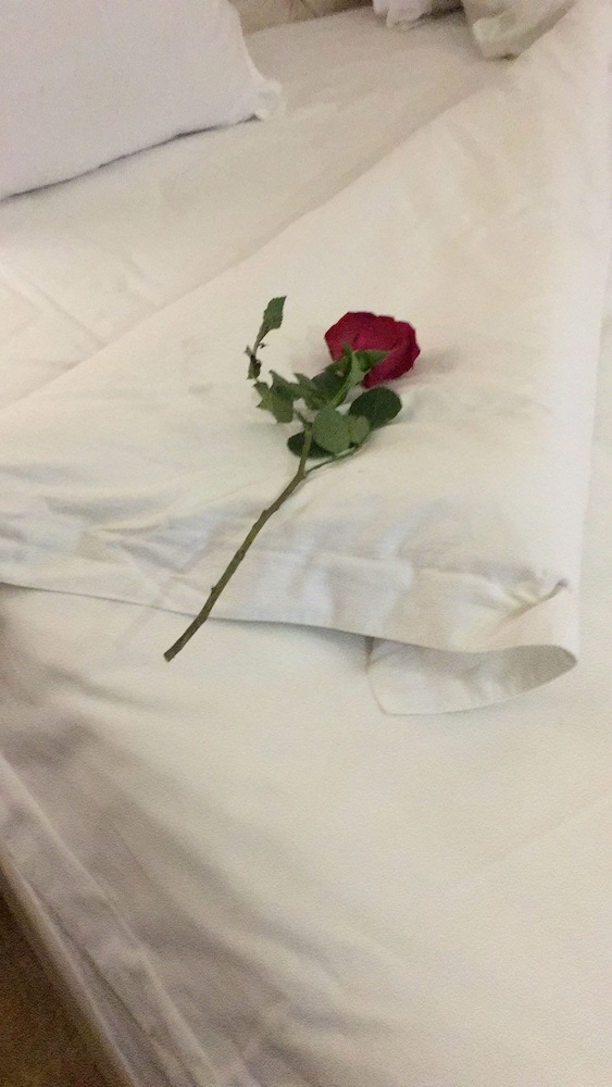 Aparthotel Magic Accommodation