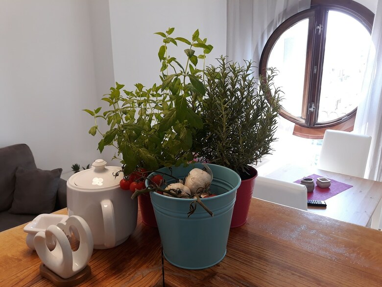 Sweet Suite Margherita B&B
