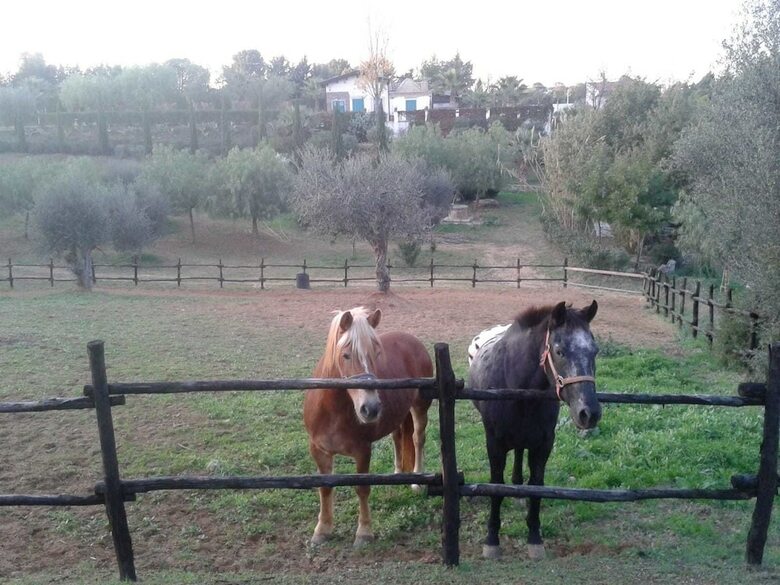 Agroturismo Agriturismo Terranova