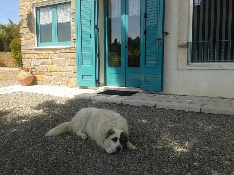 Agroturismo Agriturismo Terranova